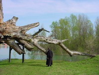 Крај Тополе уздаха Крај Тополе уздаха