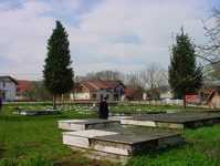 На гробљу мозгова у Драксенићу На гробљу мозгова у Драксенићу