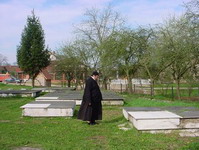 На гробљу мозгова у Драксенићу На гробљу мозгова у Драксенићу